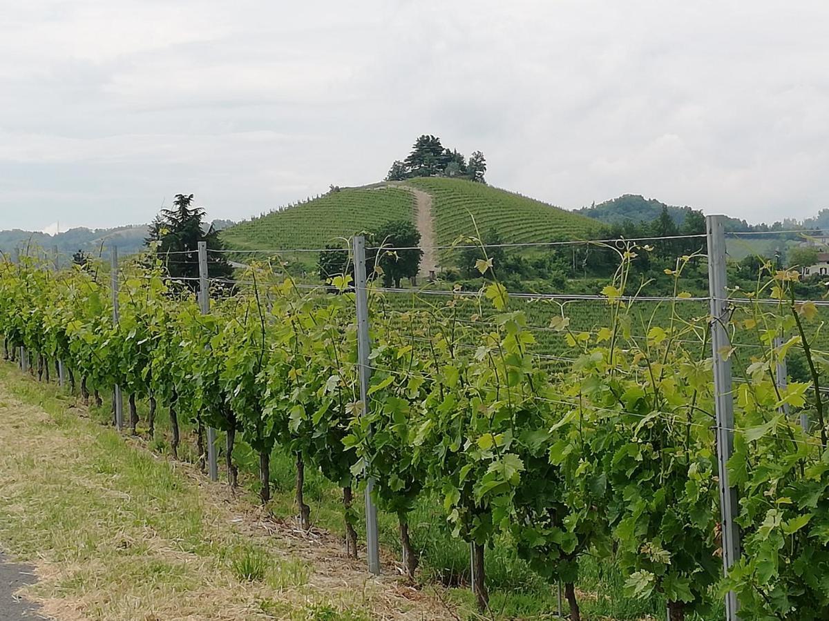 Farm stay La Giribaldina Winery & Farmhouse *