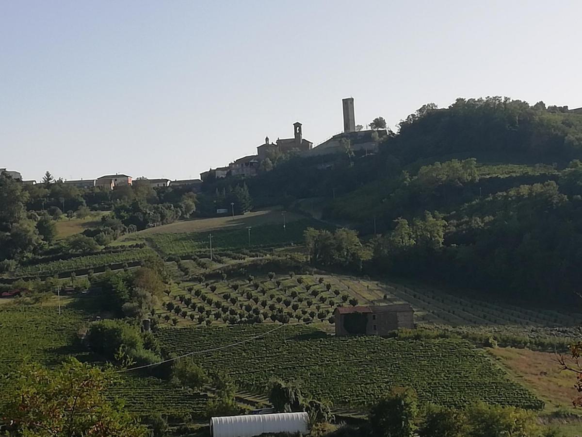 La Giribaldina Winery & Farmhouse Farm stay *