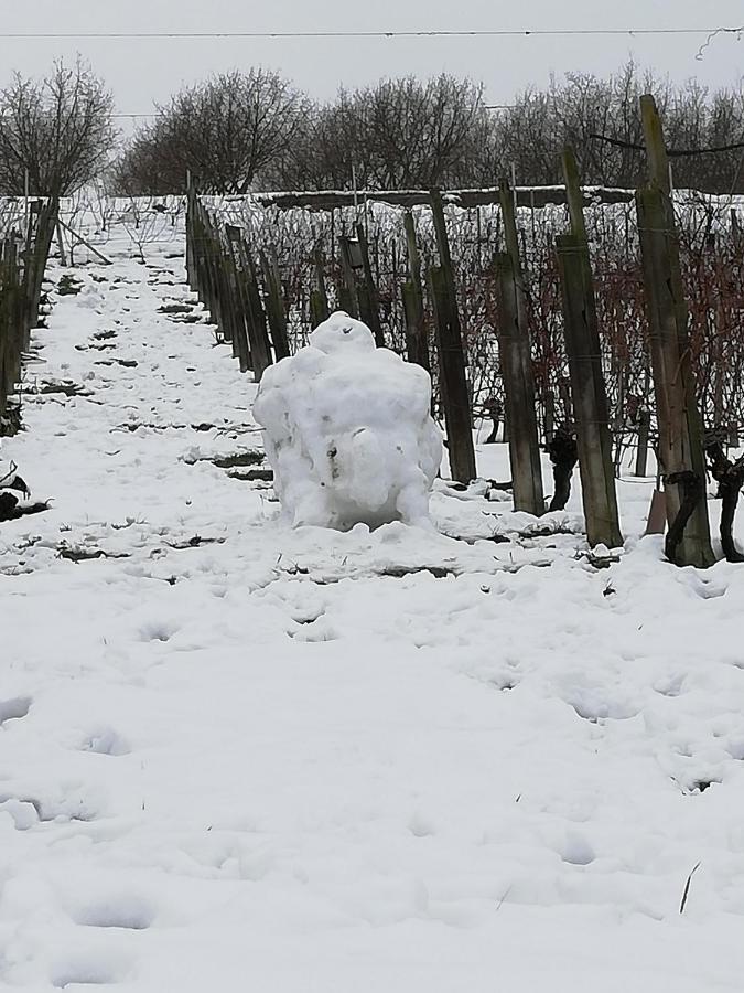La Giribaldina Winery & Farmhouse Farm stay Calamandrana