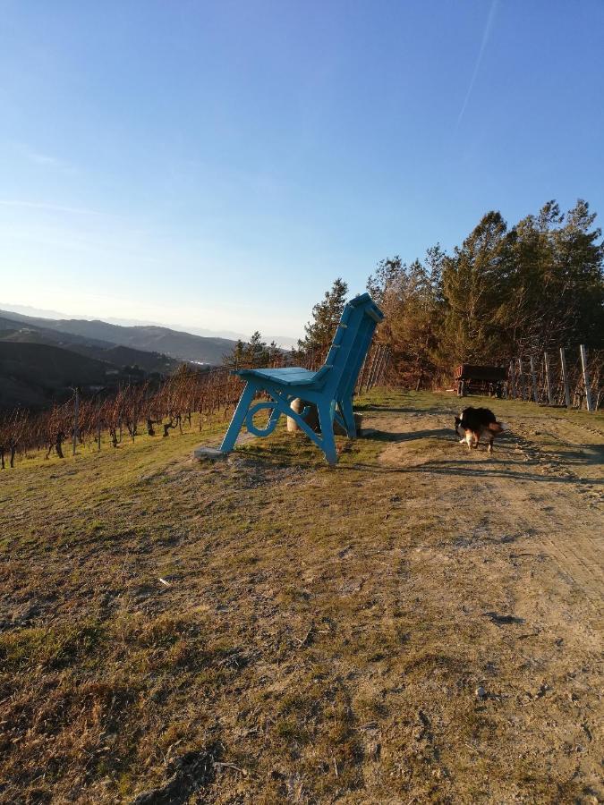 La Giribaldina Winery & Farmhouse Farm stay