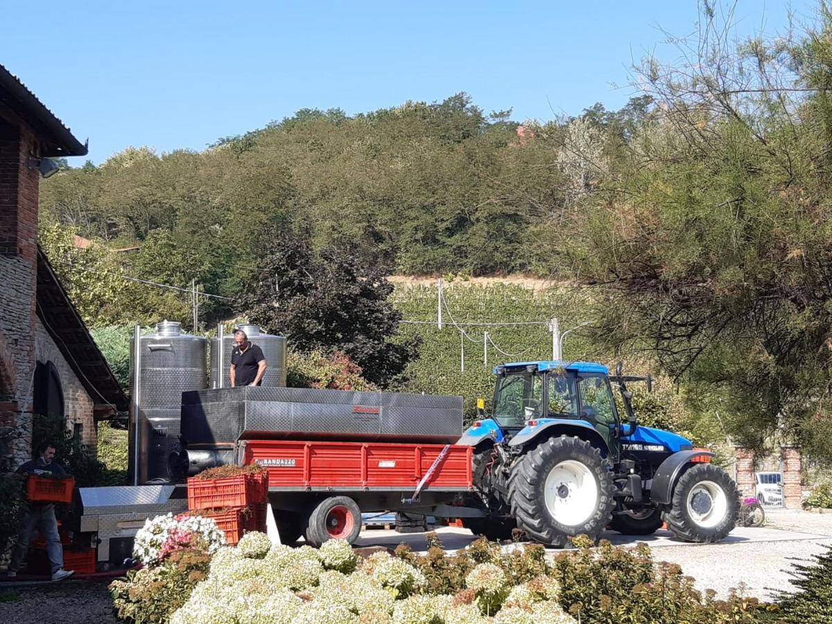 Farm stay La Giribaldina Winery & Farmhouse Calamandrana