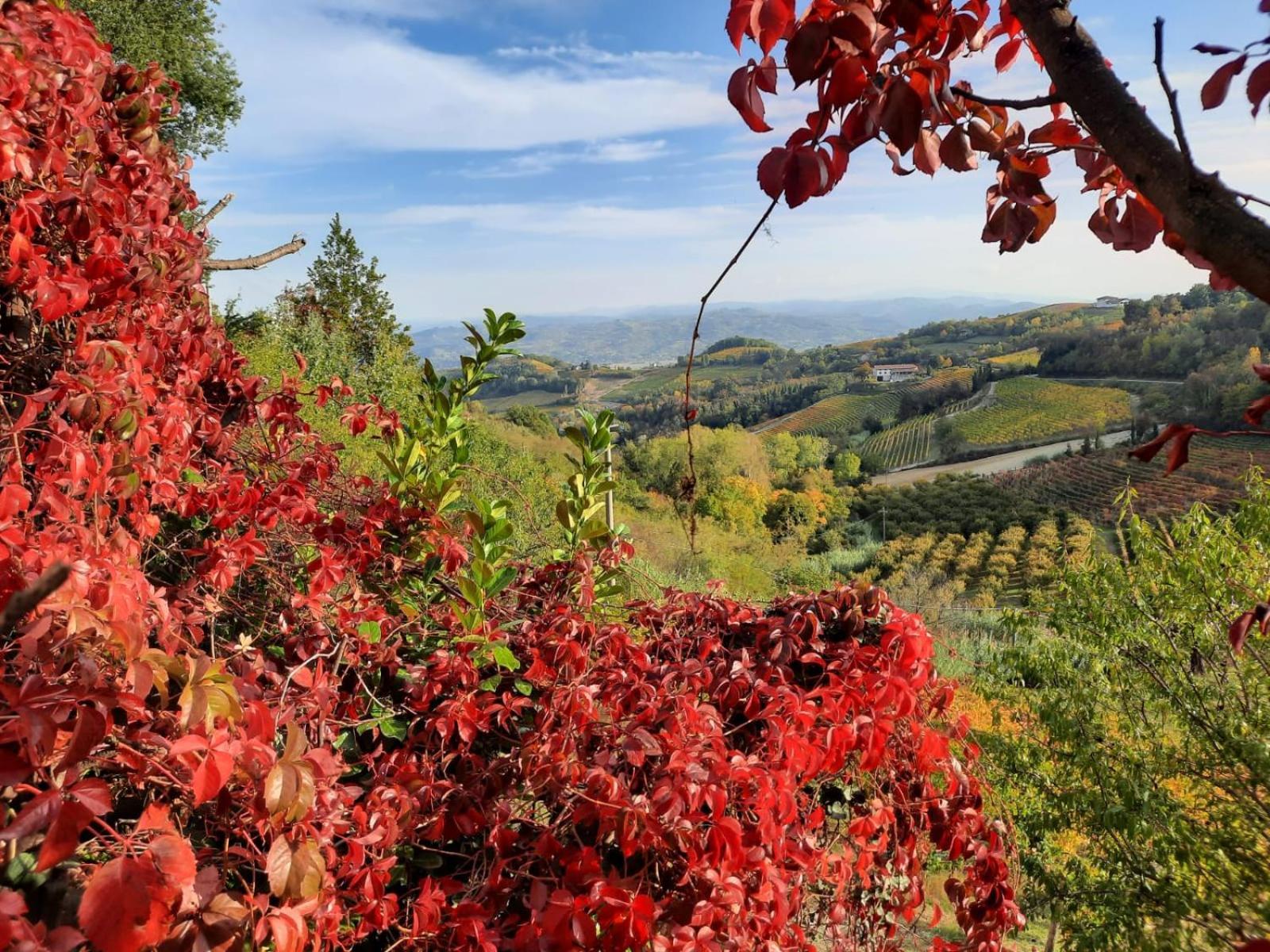 La Giribaldina Winery & Farmhouse Farm stay *