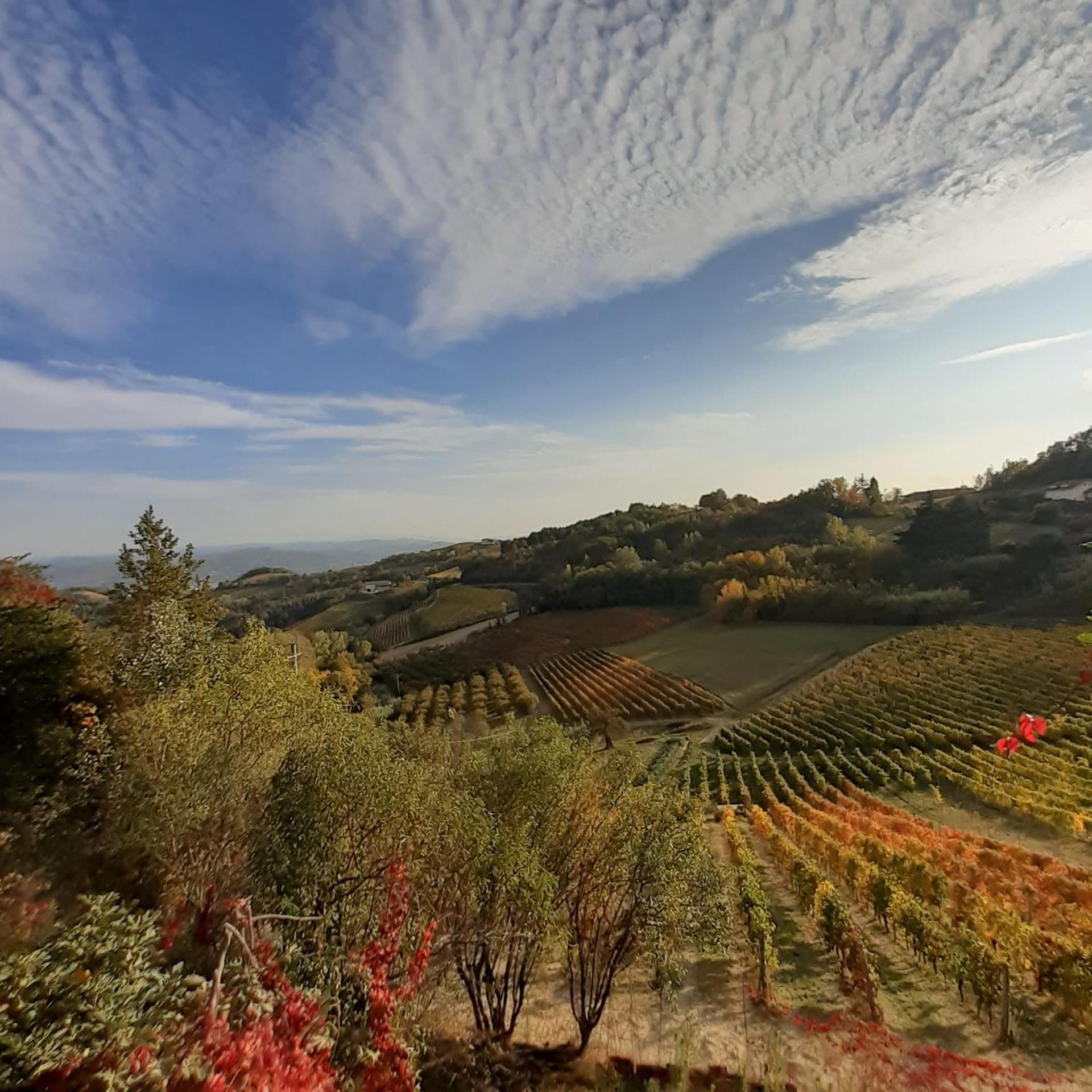 La Giribaldina Winery & Farmhouse * Calamandrana
