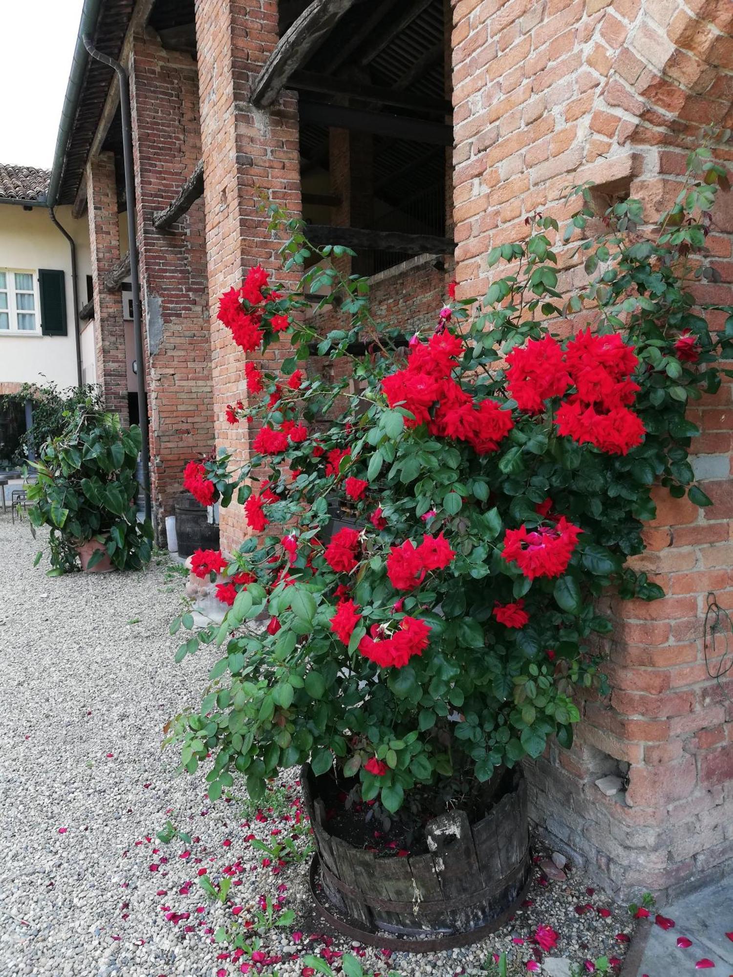 La Giribaldina Winery & Farmhouse Calamandrana