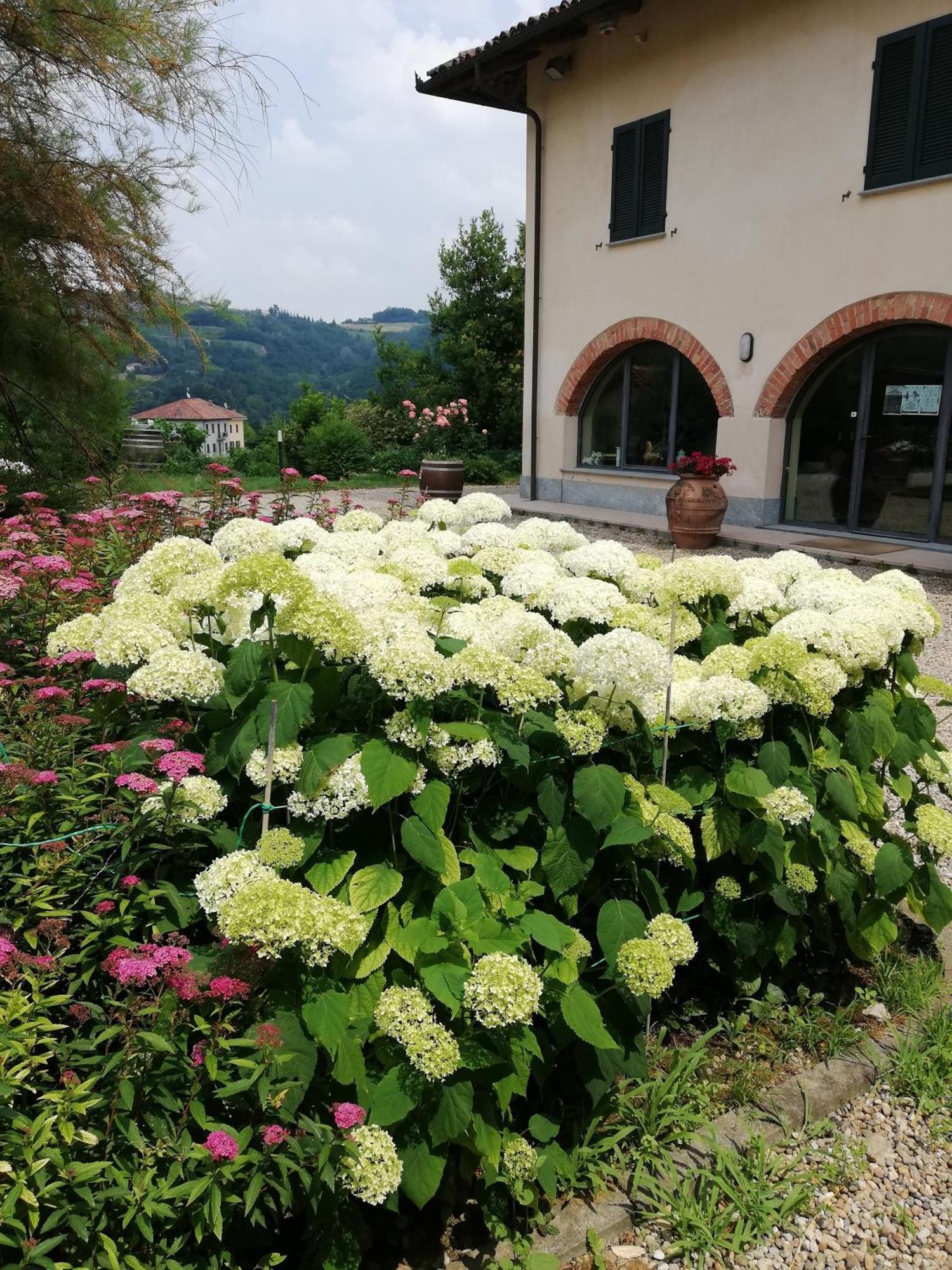 Farm stay La Giribaldina Winery & Farmhouse *